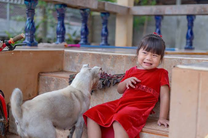 Hipnoterapia para o medo de animais em geral